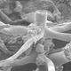 Illustration for article titled Tentacled Fungus Attacks The Microverse